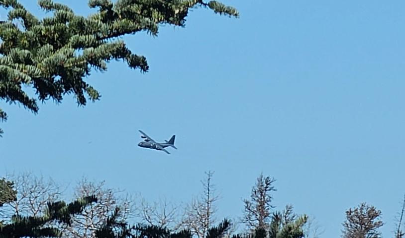 a grey military plane flies low over the forest, framed by pine boughs.