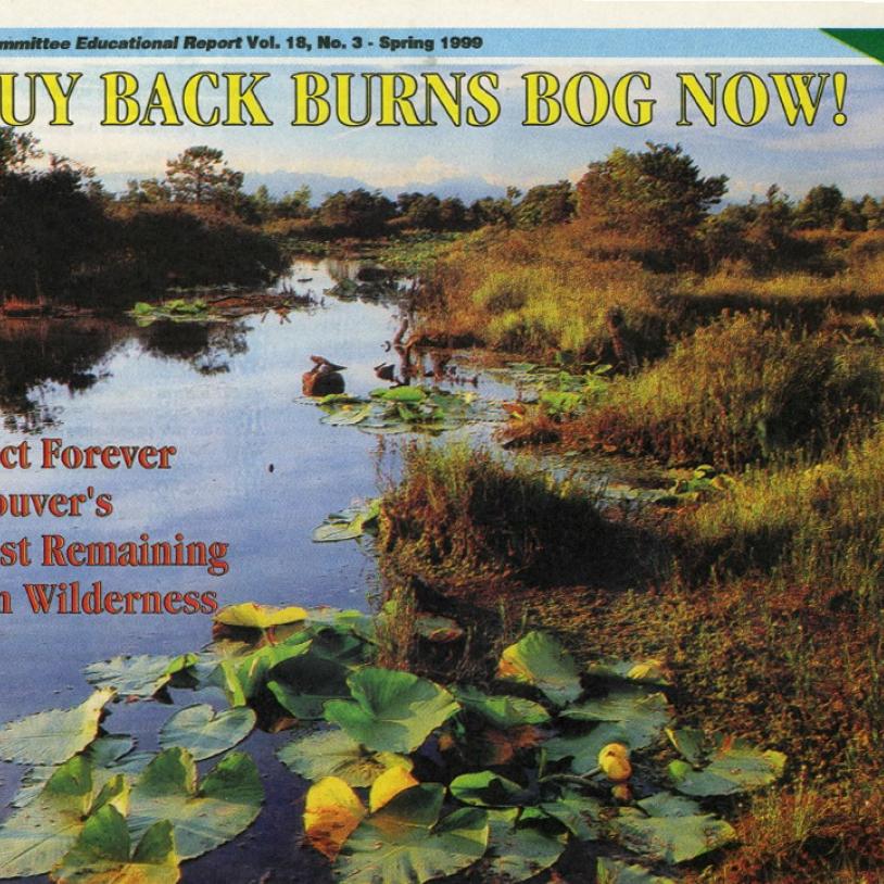 Publication Image-publication-image