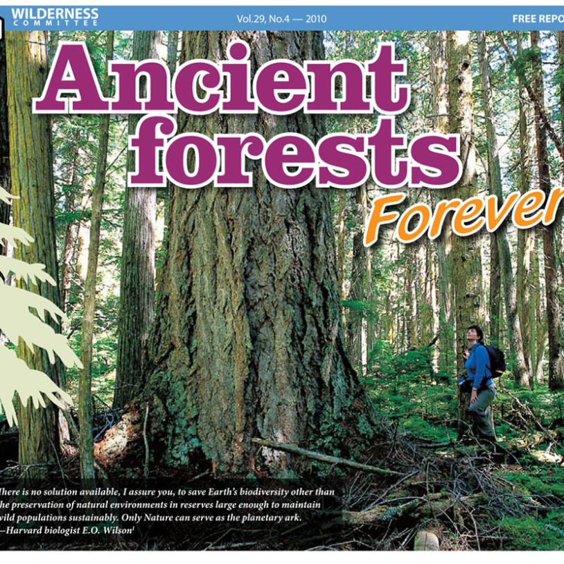 -publication-image