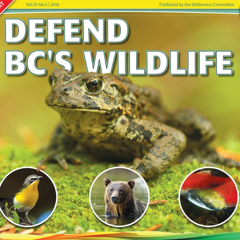 -publication-image