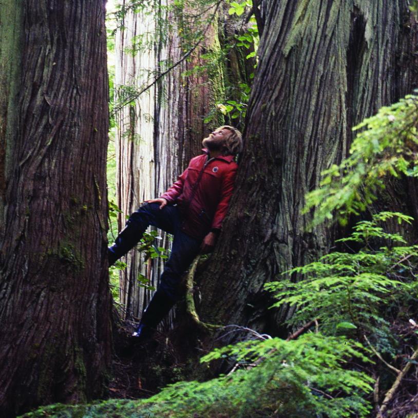 Wilderness Committee founded