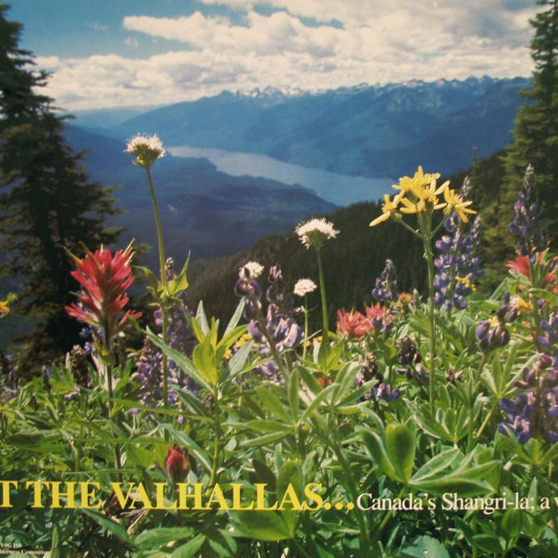 Beauty in the Vahallas