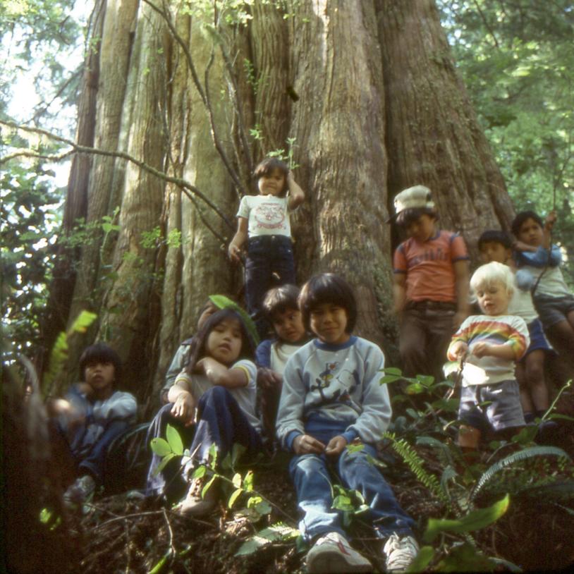 Save Meares Island campaign