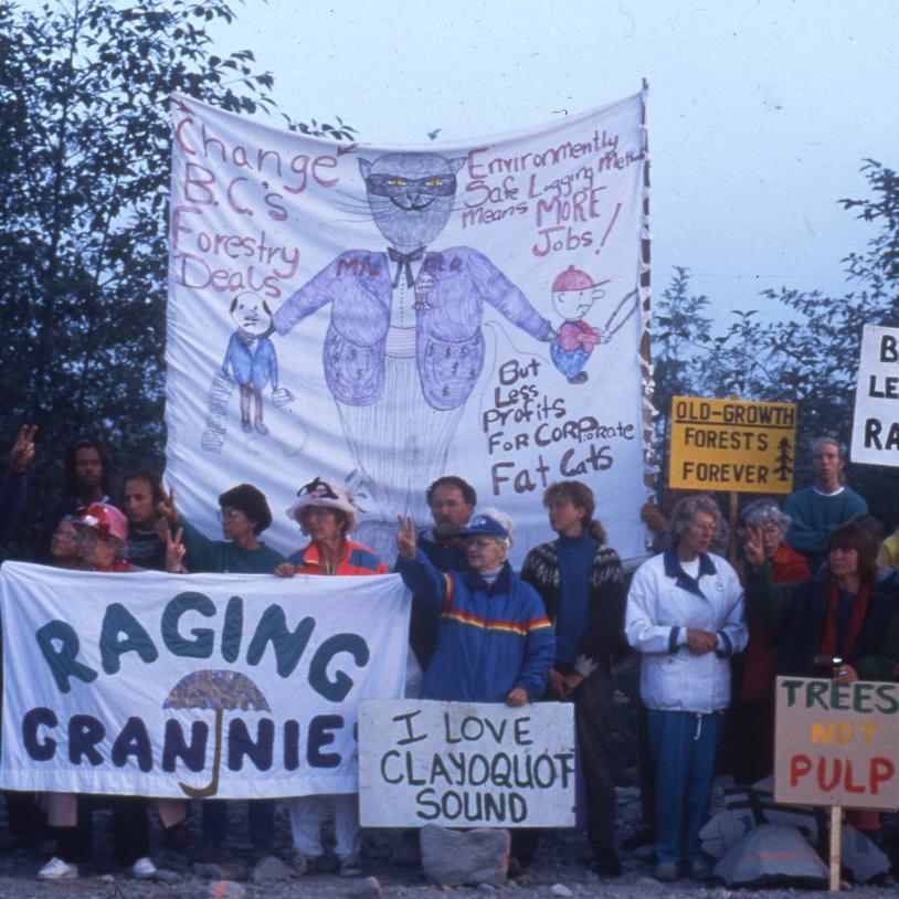 Clayoquot Sound logging protest