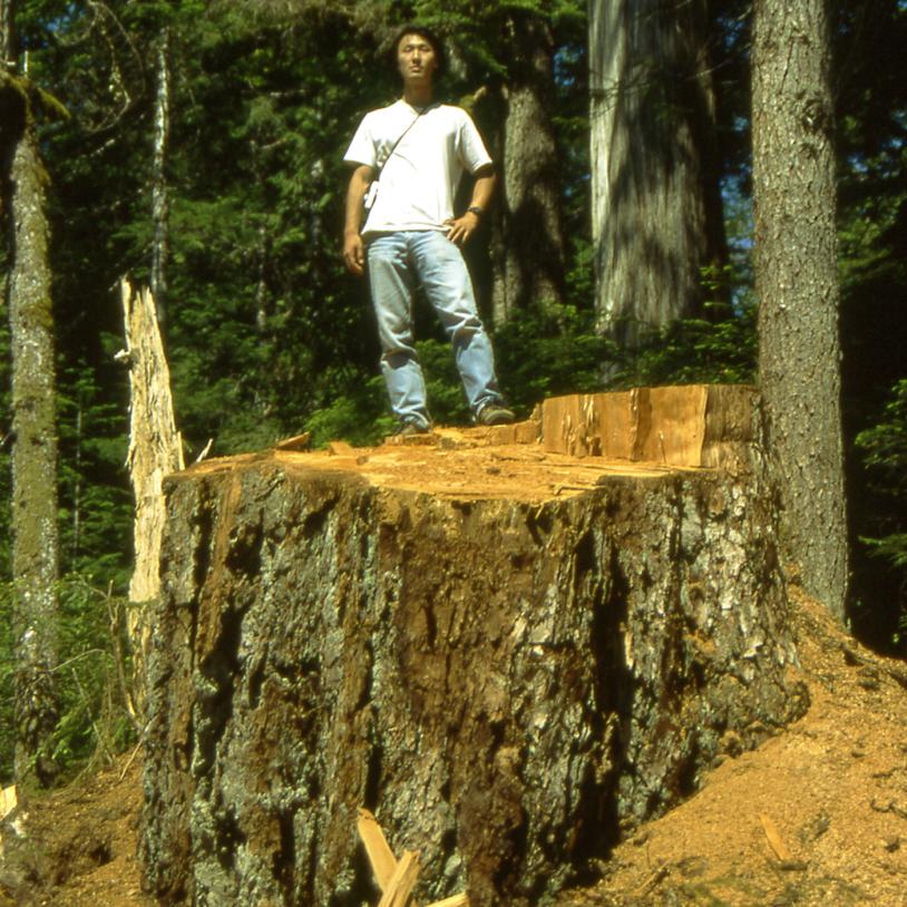 Interfor cut down thousand-year-old Douglas-fir