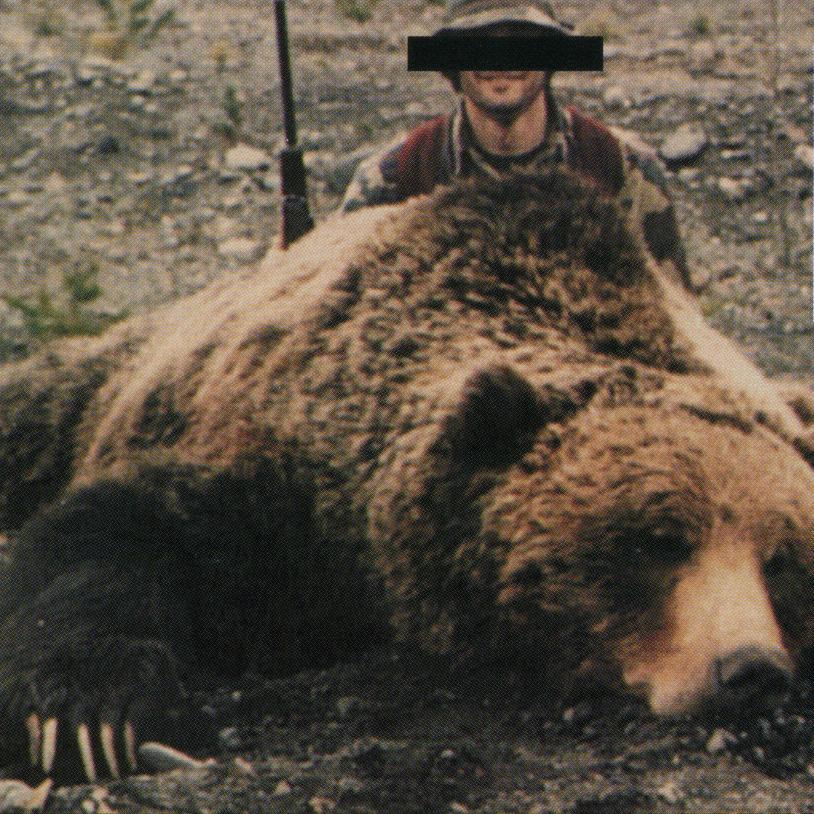 Moratorium on grizzly bear hunting