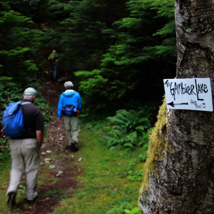 Gambier Island forest saved