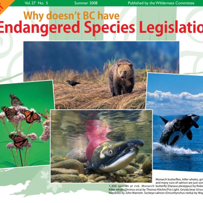 -publication-image