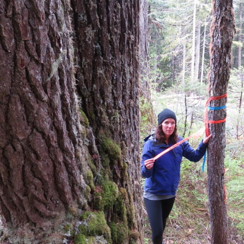 Expedition to Schmidt Creek