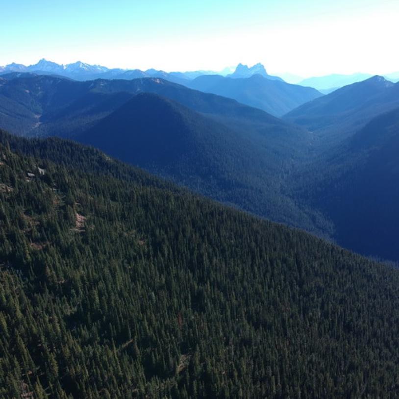 BC Timber Sales kicked out of Donut Hole