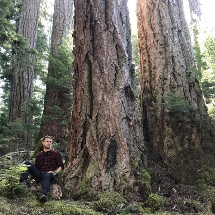 Koksilah Grove old-growth