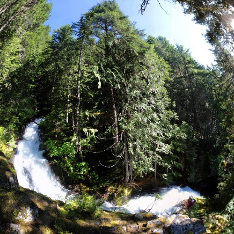 Exploring Silverdaisy Creek in the Donut Hole