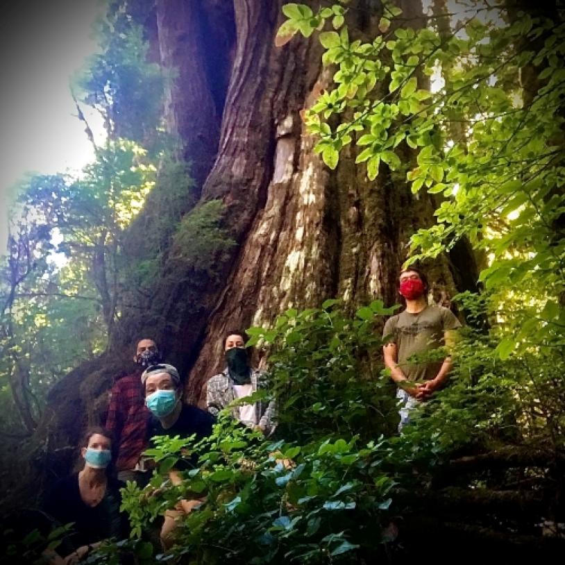 Pandemic trail crew