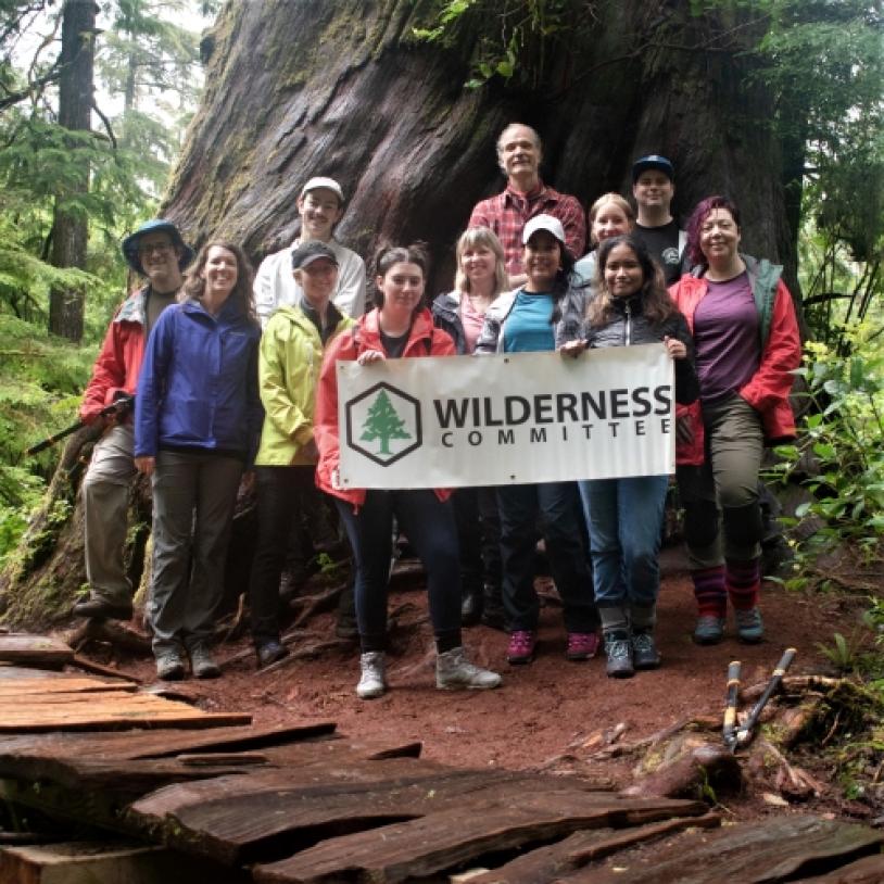 Meares Island trail work continues