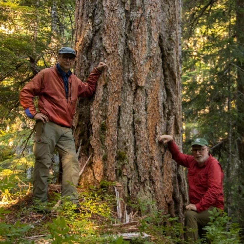 Finding spotted owl habitat in Teapot Valley