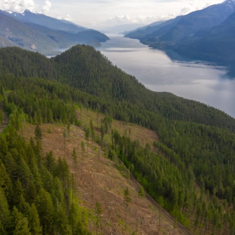 Logging starts on Argenta Face