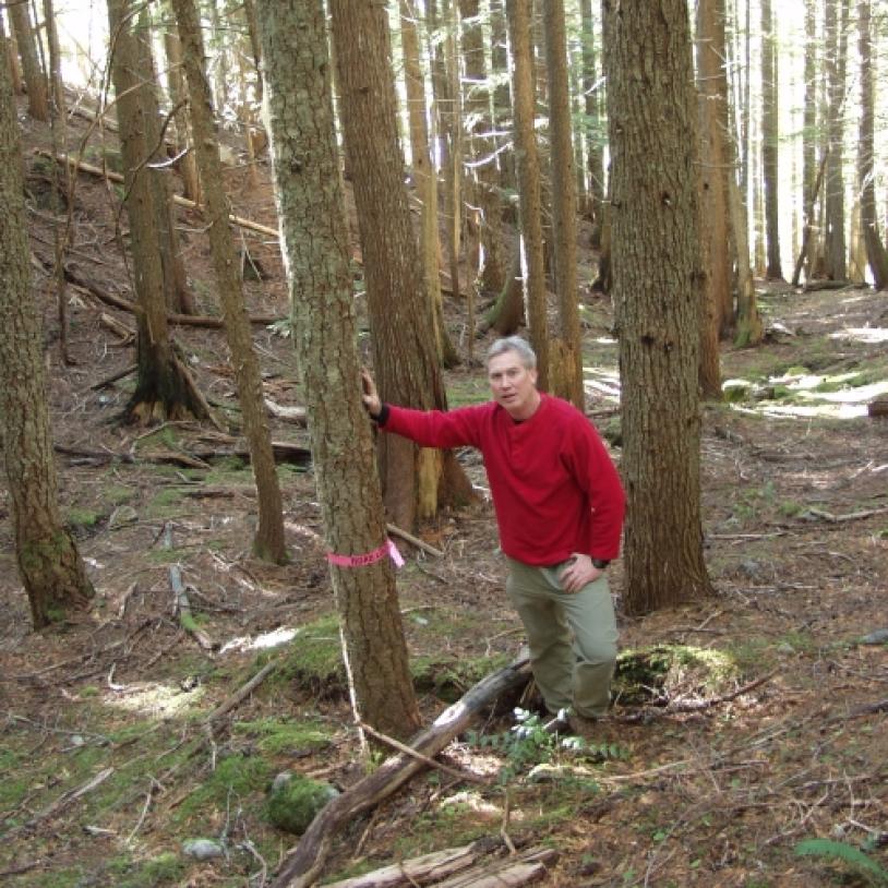 Tracking down spotted owl habitat destruction