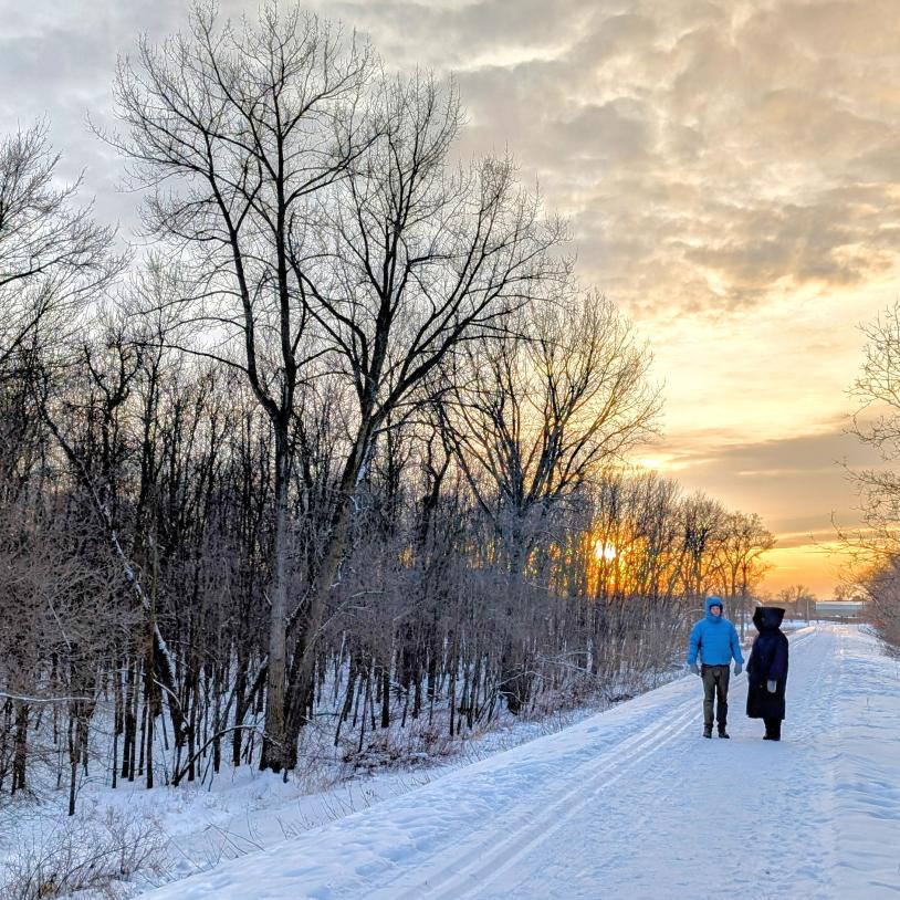Grow nature in our neighbourhoods by protecting the Lemay Forest