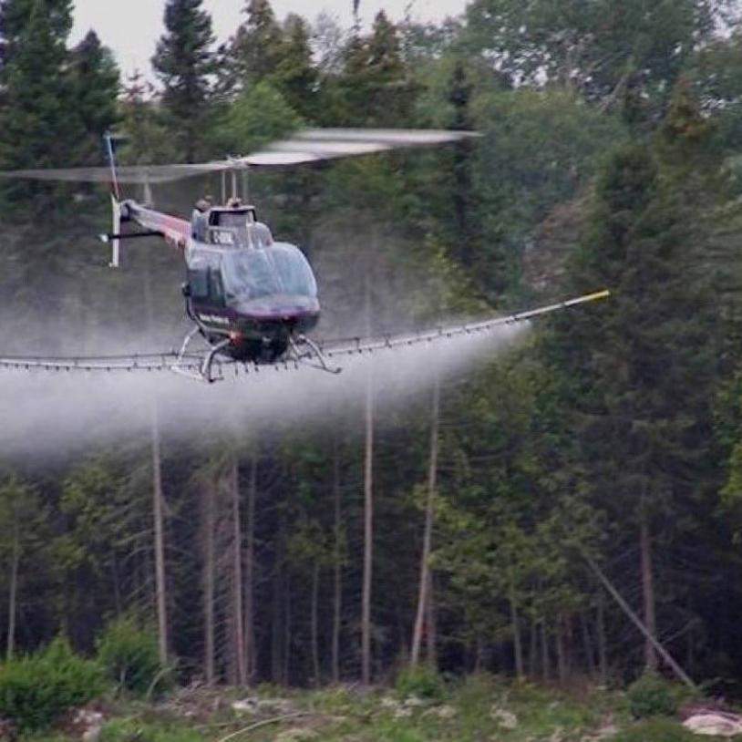Tell Ontario to stop the toxic spray on forests