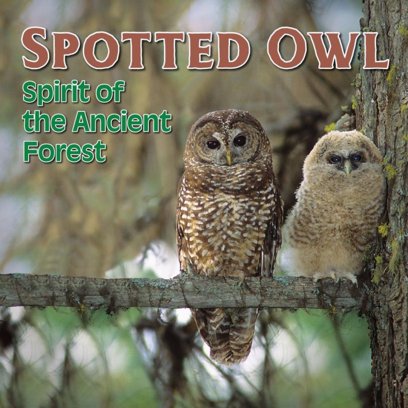 -publication-image