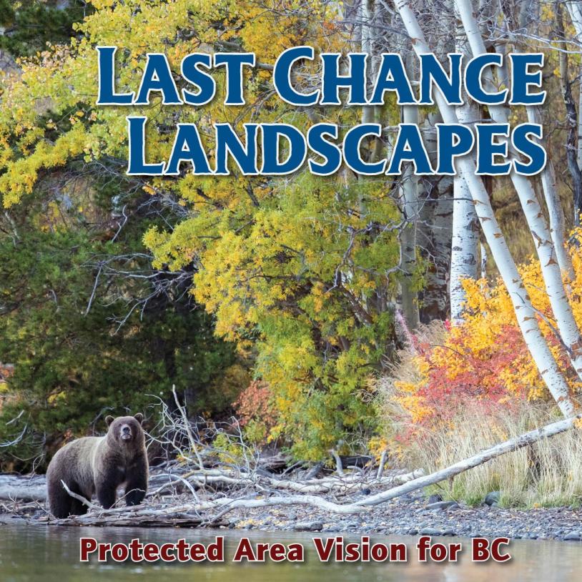 -publication-image