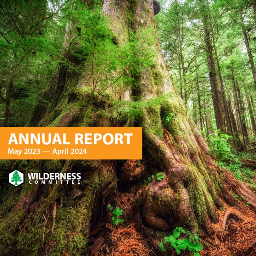 "Annual Report" for the year 2023 and 2024 with a Western redcedar old-growth as the background image of the cover