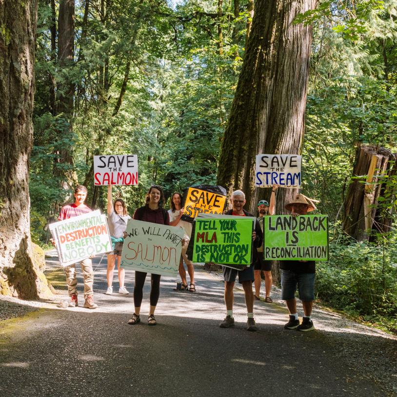 Protesters stand with home-made signs in the shade of giant trees