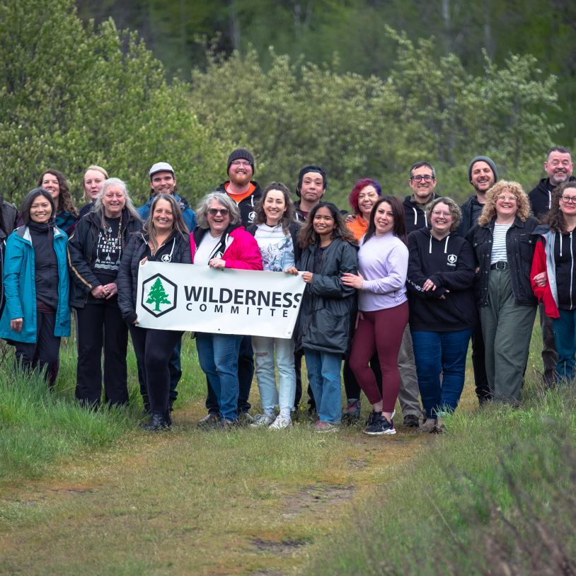 Wilderness Committee staff team