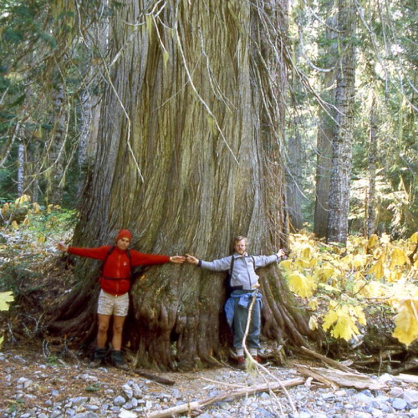 Pocket Wilderness campaign launched