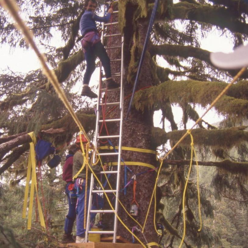First forest canopy research platforms