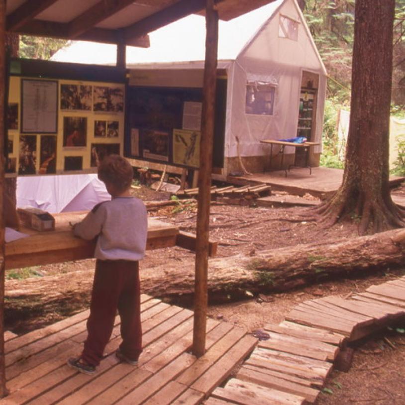 Camp Phoenix up and running