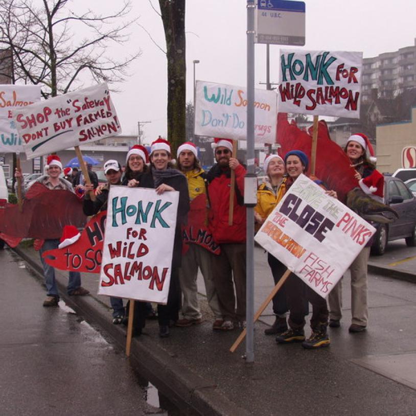 Farmed salmon protests