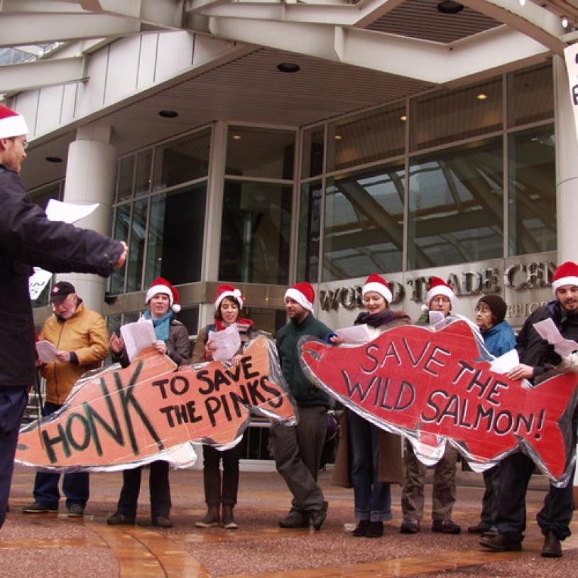Caroling for wild salmon