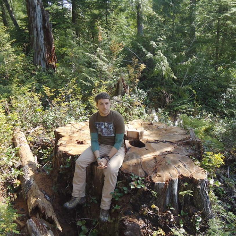 Cedar rustlers at Carmanah-Walbran