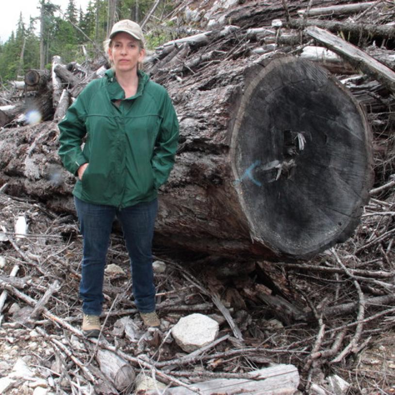 Spotted owl logging photo expedition