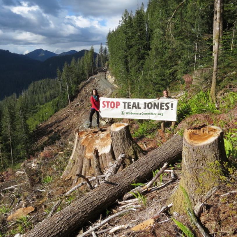 Walbran old-growth logging photo expedition