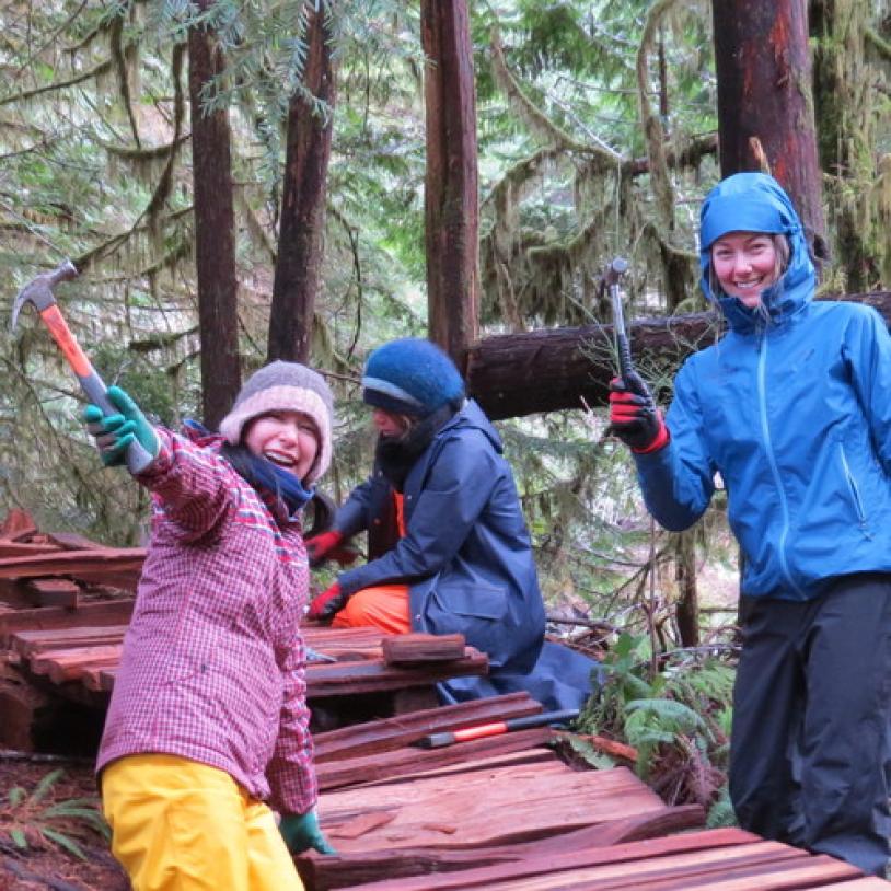 Walbran Valley boardwalk