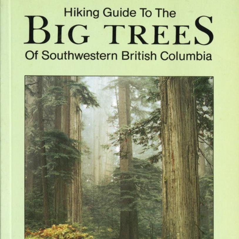 Hiking guide to big trees