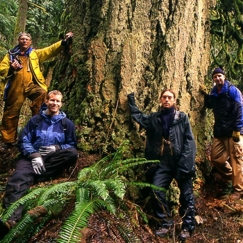 Big tree hunters at Elk Creek
