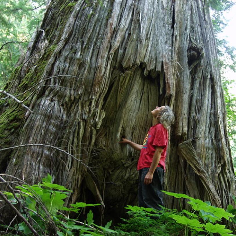 Expedition to East Creek in Bugaboo Rainforest