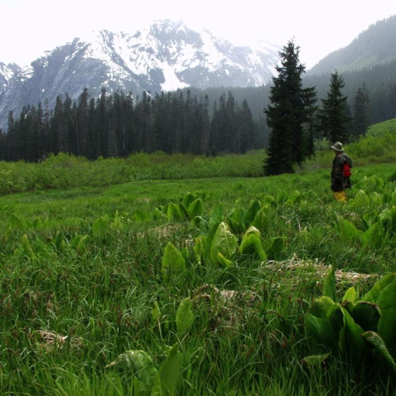 Sims Creek expedition