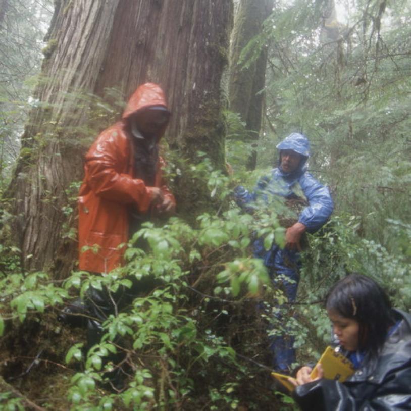 Great Bear Rainforest expeditions