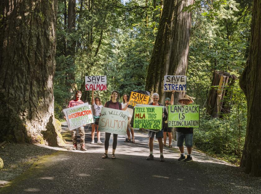 A group of people in an old-growth forest with placards asking to save the goldstream river and salmon in their hands. End of image description.