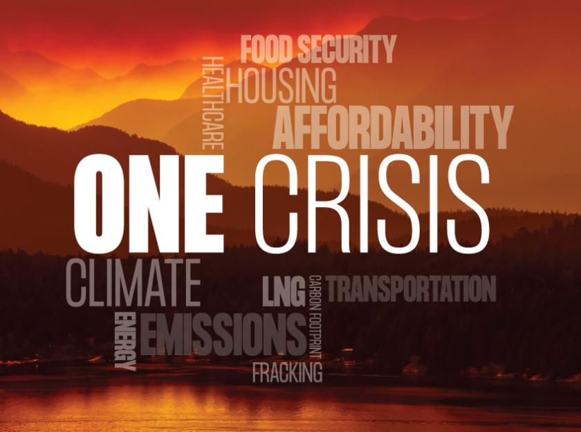 one crisis paper cover image