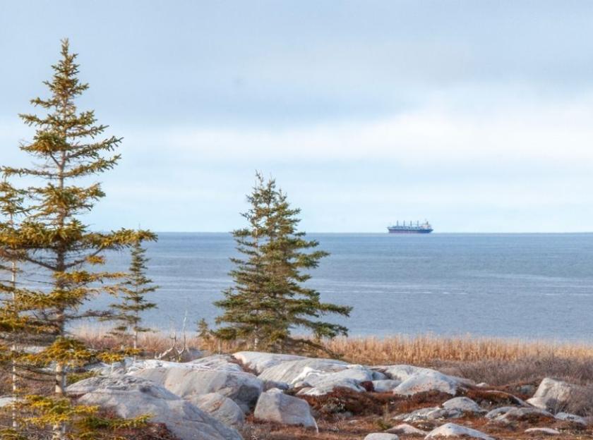 A photo inside a Manitoba forest. You can see two tankers in the background. End of image description.
